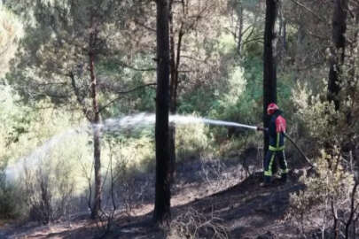 Geniş haber // Sultangazi’de orman yangını büyümeden söndürüldü