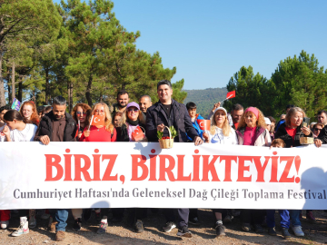 Doğaseverler 438 metre yüksekliğindeki Kayışdağı Ormanı’nda dağ çileği topladı