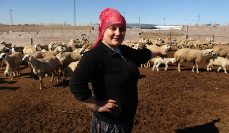 Babasına destek olmak isteyen Ayşe, 300 küçükbaşa çobanlık yapıyor