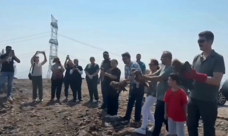 Hatay'da tedavisi tamamlanan 11 yabani kuş doğaya salındı