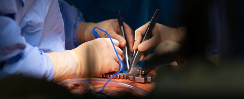 Ölü kalp yeniden çalıştırıldı