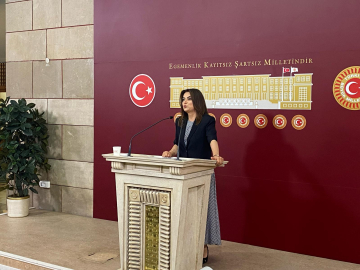 DEM Parti'li Koçyiğit: Komisyonun isminde 'demokrasi' kavramının olmasında ısrarcıyız