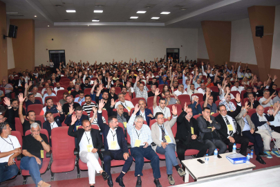 Altay'da seçim zamanı