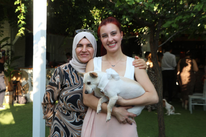 Köpeğini gezdirirken Kangalların saldırısına uğradı