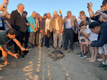 Caretta caretta 'Cumhuriyet'i 5 bin kişi izledi
