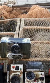 Kahramanmaraş'ta yasa dışı avlanan 80 saka kuşu doğaya salındı