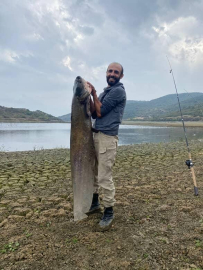 Bursa - Su seviyesi düşen barajda yayın balığı avlıyorlar /Video eklendi