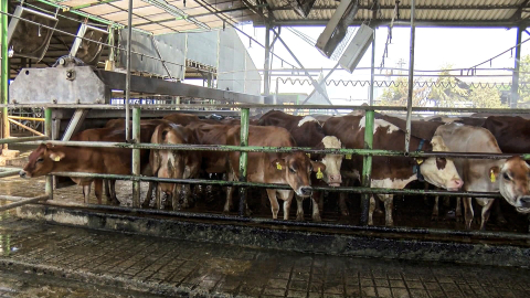 ‘Bilinçsiz ilaç tüketimi hayvanlarınızın canına mal olabilir’ / Ek fotoğraflar