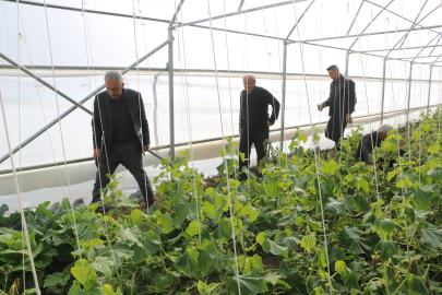 Köylerine dönüp üretime başladılar