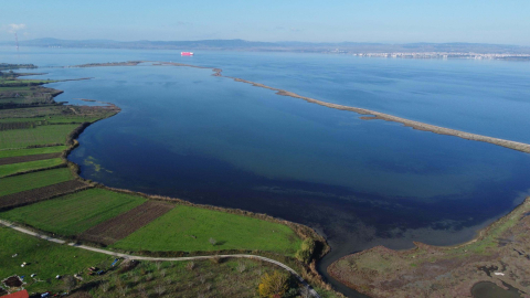 Doç. Dr. Daban: Çardak Lagünü'nün koruma statüsü artırılmalı