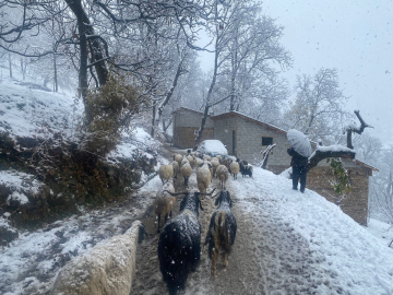 Van'da Karabet Geçidi'nde kar yağışı etkili oldu
