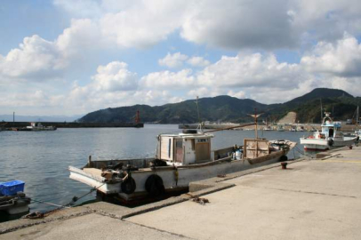 Japonya'da yangın: 170'ten fazla bina hasar gördü, 1 kişi kayıp