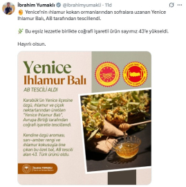 Yenice Ihlamur Balı'na AB'den coğrafi işaret tescili