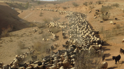 Göçerlerin zorlu yolculuğu başladı