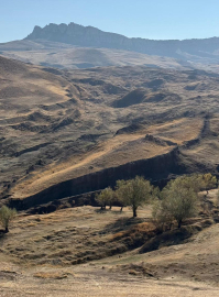 ‘Ağrı'daki bulgular, Hazreti Nuh'un yaşadığı dönemle örtüşüyor’