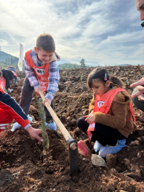 '81 İlde 81 Orman' projesi Muğla ile devam ediyor