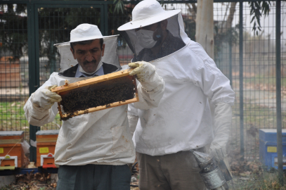 'İyi bal donar, mutlaka sıvı olması gerekmiyor'