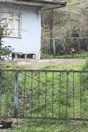 Öğrenci servisinin önünden gidip, korkuluklardan atlayan karaca kamerada