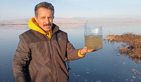 'Atıklar Eber Gölü'ndeki yaşamı yok etti'