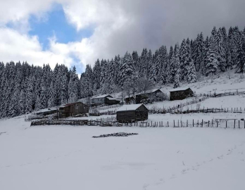 Ordu’nun yüksekleri beyaza büründü