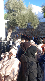 Bodrum’da 82 kaçak göçmen yakalandı