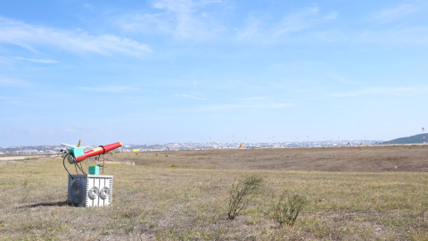 İstanbul - İstanbul ve Sabiha Gökçen havalimanlarında kuş sürüleri için ornitologlar görev başında