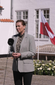 Danimarka’dan, ABD'ye ‘Grönland’ tepkisi