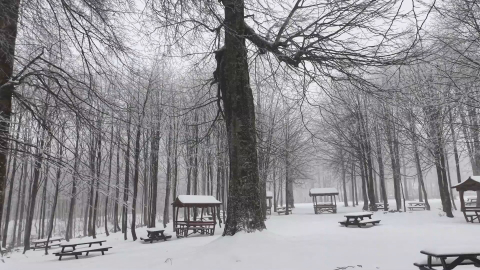 Kuzuyayla Tabiat Parkı’nda kar manzarası