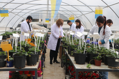 Öğrencileri olumsuz hava şartlarından korumak için fakültenin terasına sera kurdu / Ek fotoğraflar