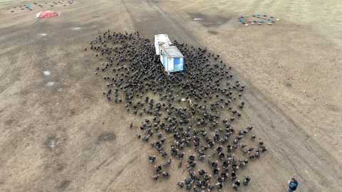 Tekirdağ'da yılbaşı öncesi hindi satışları arttı; dişi hindiye ilgi daha fazla