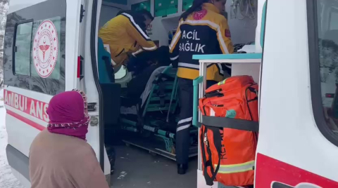 Batman'da 203 yerleşim yerinin yolu kardan kapandı (3)