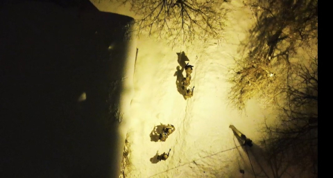 Bitlis'te uyuşturucu satıcılarına operasyon; 27 tutuklama