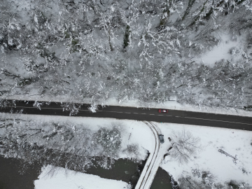 'Ağaç tünel yol'da, kar yağışı sonrası ortaya çıkan manzara görüntülendi