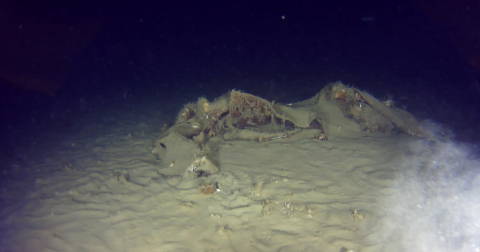 İstanbul - THY'nin 50 yıl önce düşen uçağının enkazından yeni parçalar bulundu