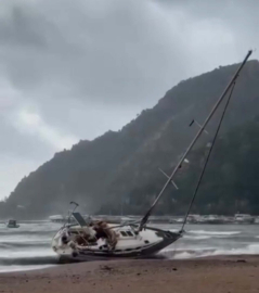 Marmaris’te fırtına; ağaçlar devrildi, yelkenli tekne karaya oturdu