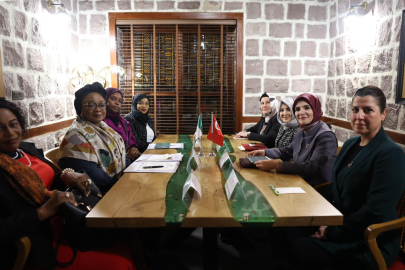 Bakan Göktaş, Nijeryalı mevkidaşı Imaan Sulaıman ile bir araya geldi