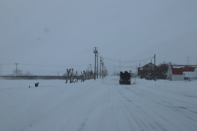 Japonya'da yoğun kar yağışı nedeniyle hayatını kaybedenlerin sayısı 30'a yükseldi