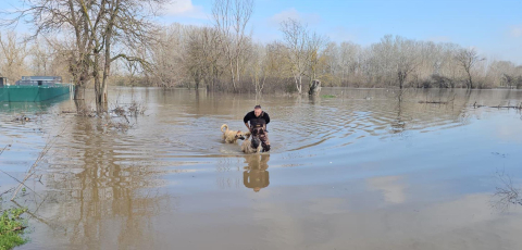 Meriç Nehri'nde su seviyesi arttı; DSİ 'turuncu alarm' uyarısında bulundu (2)