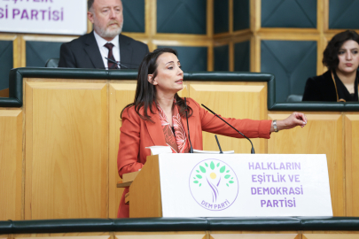 DEM Parti'li Hatimoğulları: İnfaz rejimi toplumsal barışı güçlendirmelidir