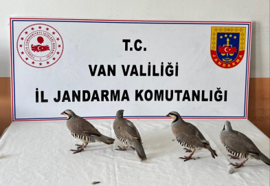 Kınalı keklik avına 85 bin TL ceza