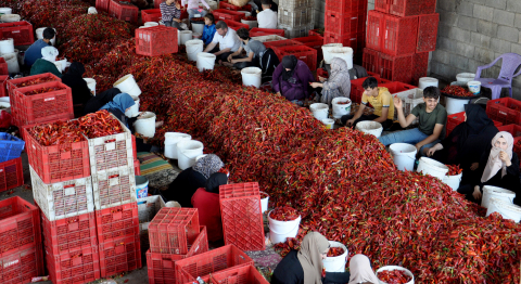 Gaziantep’ten 60 ülkeye, 5 milyon dolarlık pul biber ihracatı