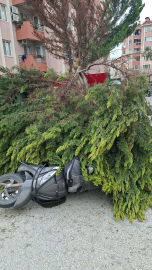 Çanakkale'de fırtınada ağaçlar devrildi, balkon duvarı yıkıldı