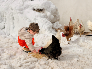 Evlenip Tunceli’ye yerleşti, köy hayatına 2 yaşındaki oğlu Güneş'i de alıştırıyor / Ek fotoğraflar