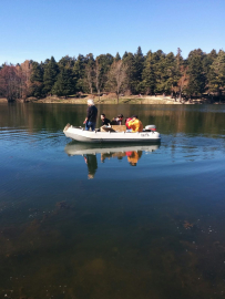 Gölcük Tabiat Parkı’ndaki mangal faaliyetleri, kanserojen madde birikimine neden oluyor