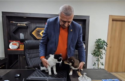 Başkanın makamı Mia ve Fındık’ın yuvası oldu