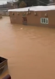 Mardin'de sağanak; dereler taştı, evler ile tarım arazilerini su bastı (2)