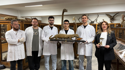 Doldurulmuş hayvan koleksiyonu, müzede korunuyor