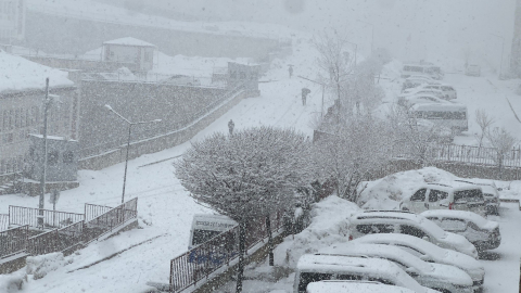 Yüksekova'da kar yağışı etkili oldu