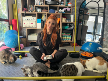 Fizik tedavi gören felçli 4 kedi için yuva arayışı