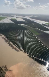 Adana’da tarım arazileri su altında kaldı; ‘Üreticiler yeniden ekim yapacak’